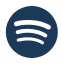 Spotify  Icon